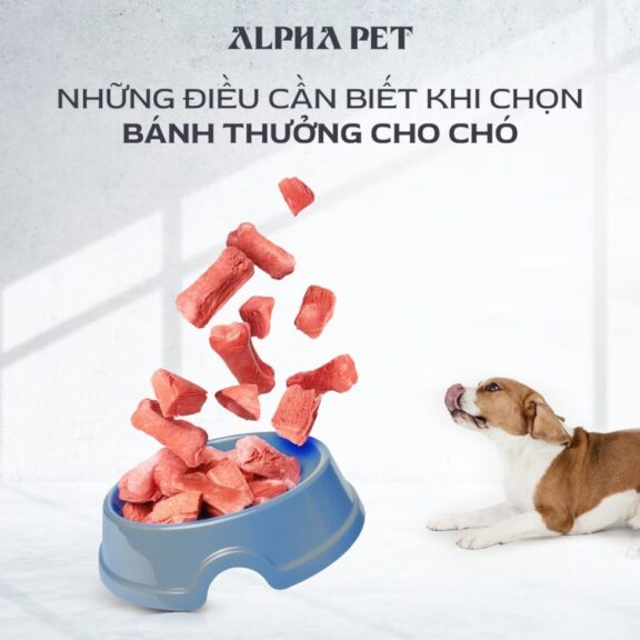 Những điều cần biết khi chọn bánh thưởng cho chó