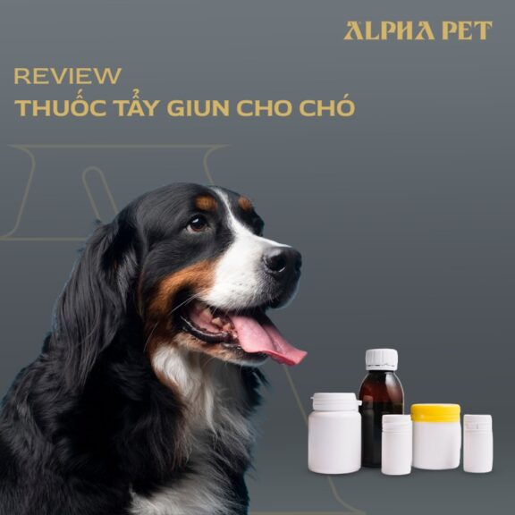 Review thuốc tẩy giun cho chó