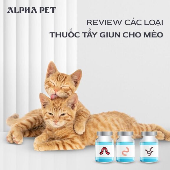 Review các loại thuốc tẩy giun cho mèo