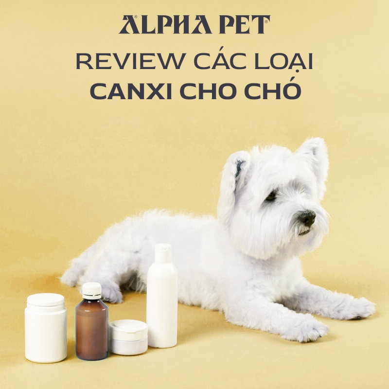 Review các loại canxi cho chó