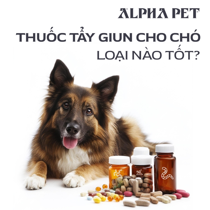 Thuốc tẩy giun cho chó loại nào tốt?