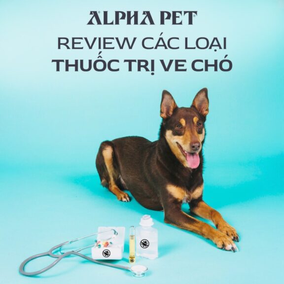 Review các loại thuốc trị ve chó