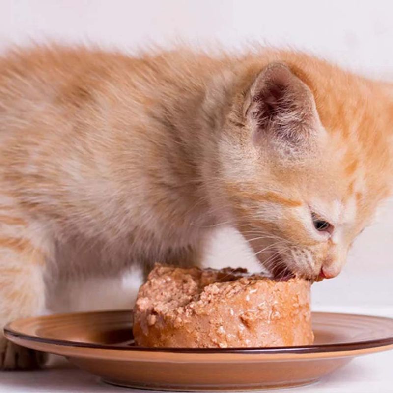 Pate có kết cấu mềm mại và đồng nhất.