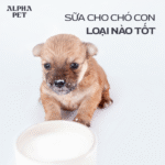 Chọn sữa cho chó con chất lượng.