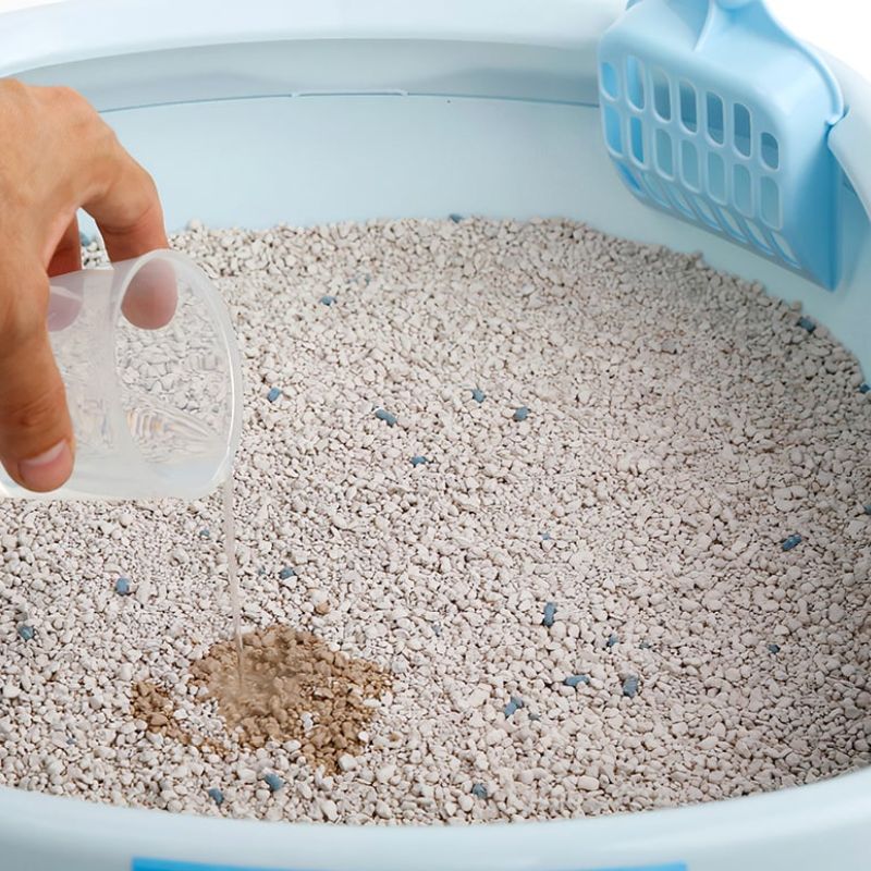 Tránh mắc sai làm khi đổ cát cho mèo.