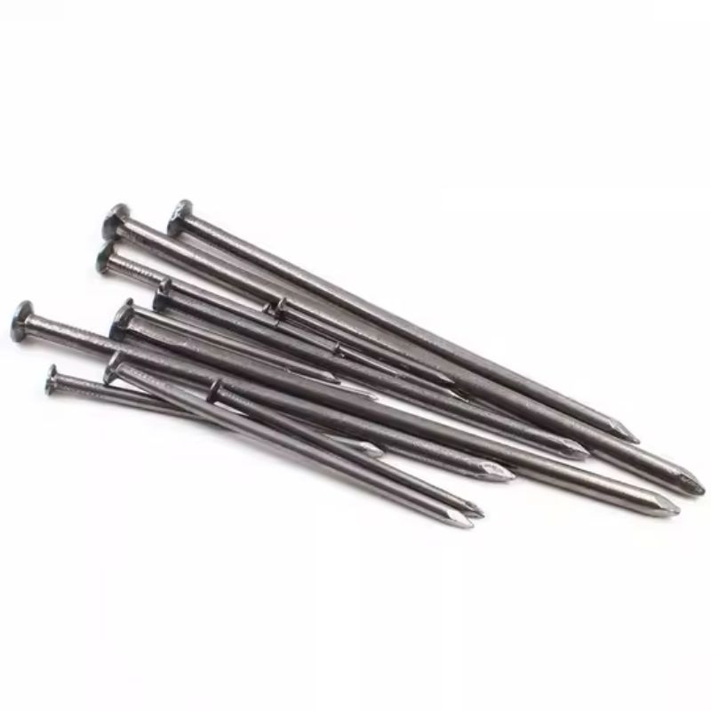 Đinh nhọn là tác nhân gây ra chó bị xà mâu.