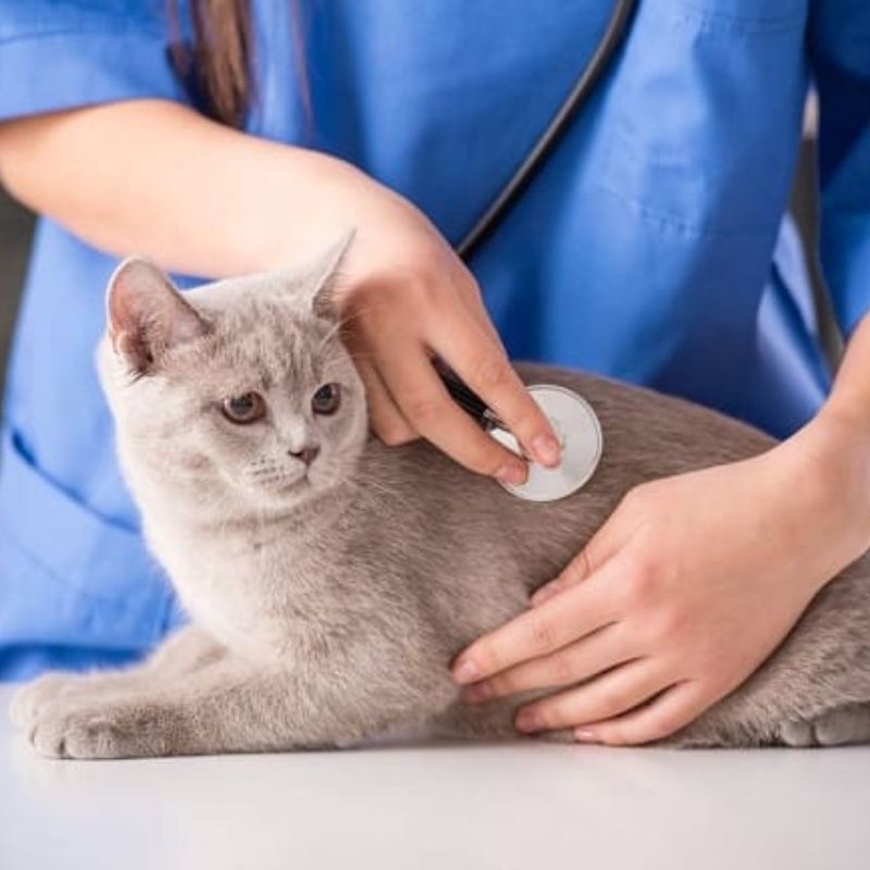 Một số phương pháp điều trị hiệu quả.