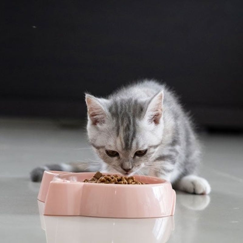 Bảng so sánh các loại thức ăn.