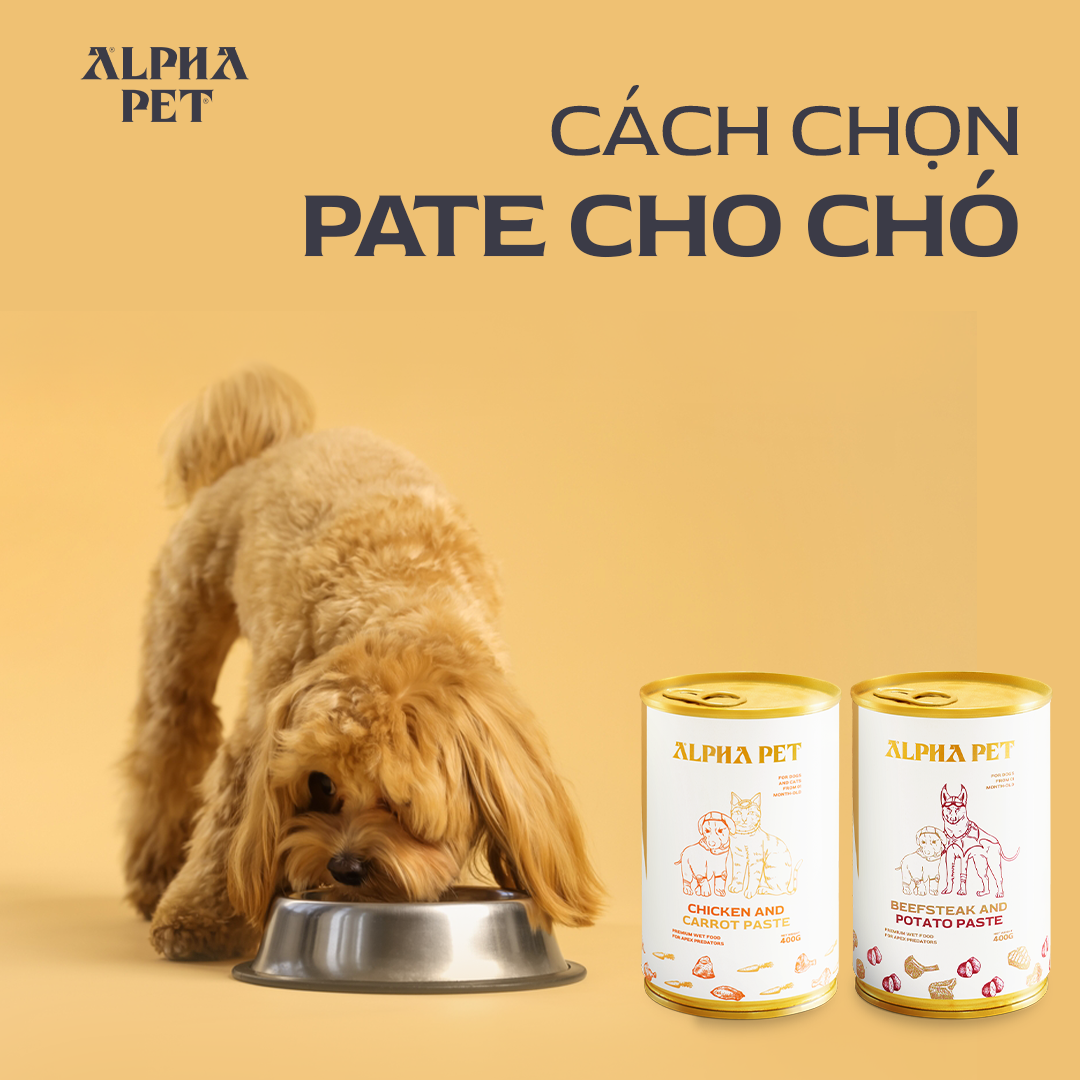 Cách chọn pate cho chó chủ nuôi nên tham khảo.