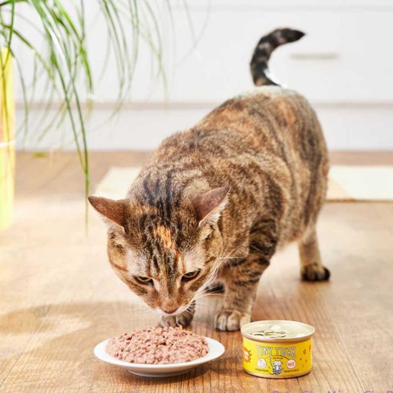 Cân nhắc về giá cả khi chọn pate cho mèo.