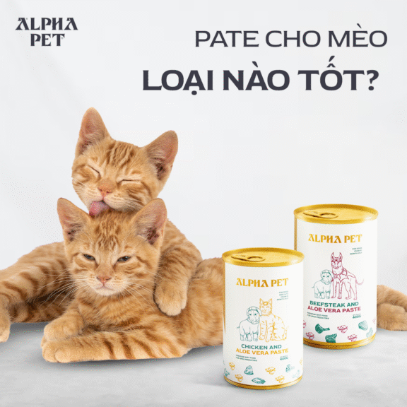 Chọn pate cho mèo chất lượng, đủ dinh dưỡng.