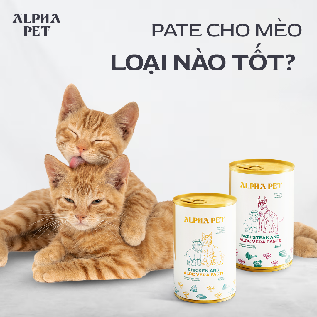 Chọn pate cho mèo chất lượng, đủ dinh dưỡng.