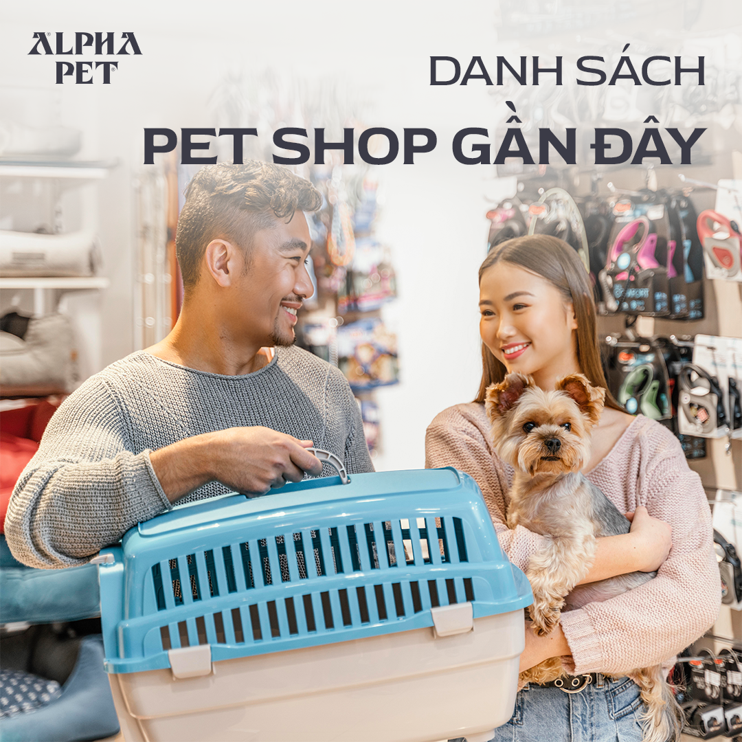 Cập nhật danh sách pet shop gần đây.