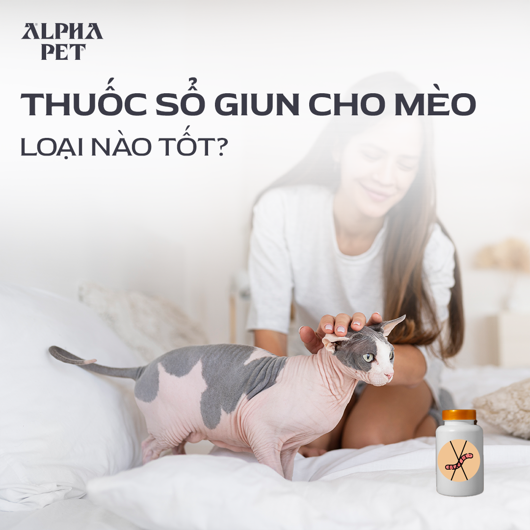 Thuốc sổ giun cho mèo tốt nhất.