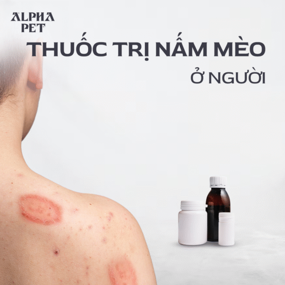 Review các loại thuốc trị nấm mèo ở người.