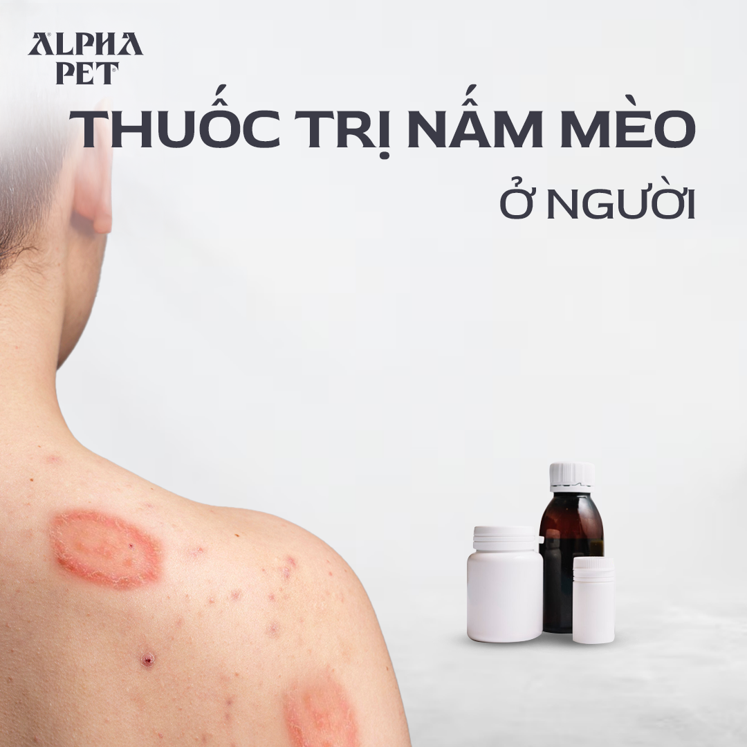 Review các loại thuốc trị nấm mèo ở người.