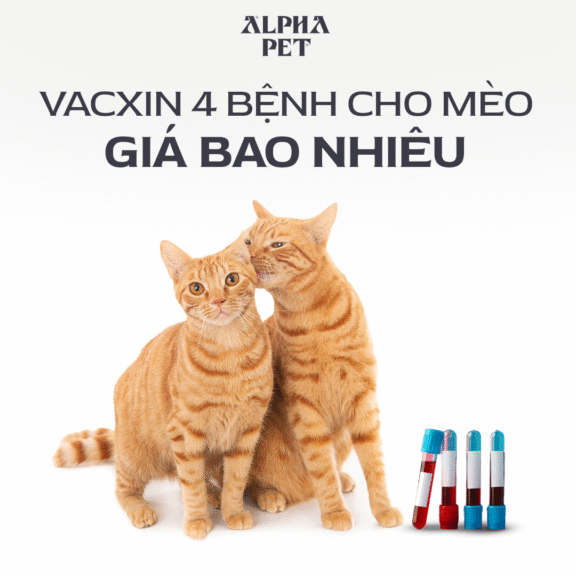 Khám phá vacxin 4 bệnh cho mèo giá bao nhiêu.