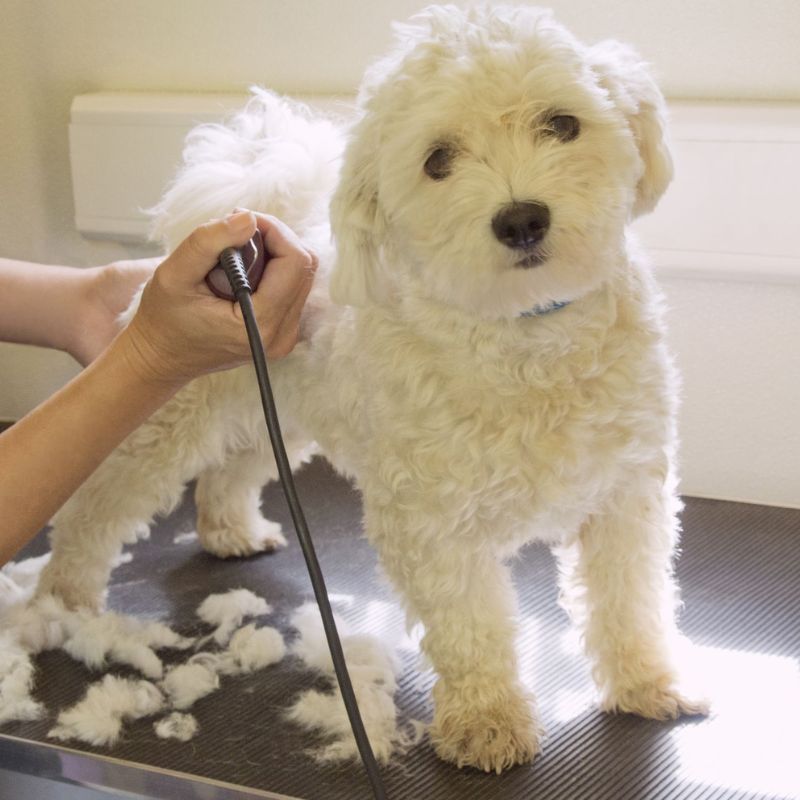 Chuẩn bị kỹ lưỡng dụng cụ trước khi tiến hành.