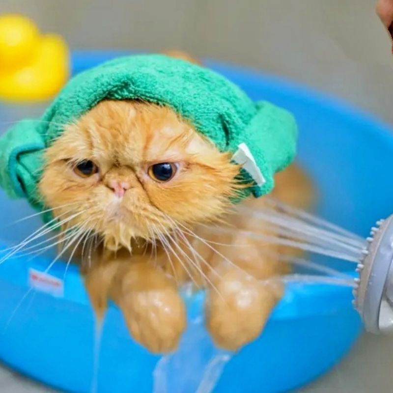 Chuẩn bị kỹ lưỡng trước khi tắm.