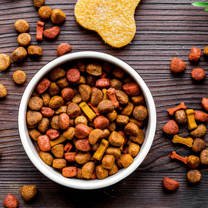 Nguồn hàng sỉ pet food chất lượng, uy tín.
