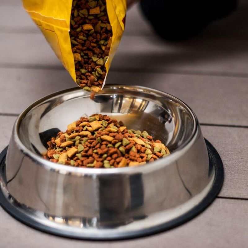 Tham khảo nguồn hàng sỉ pet food chất lượng.