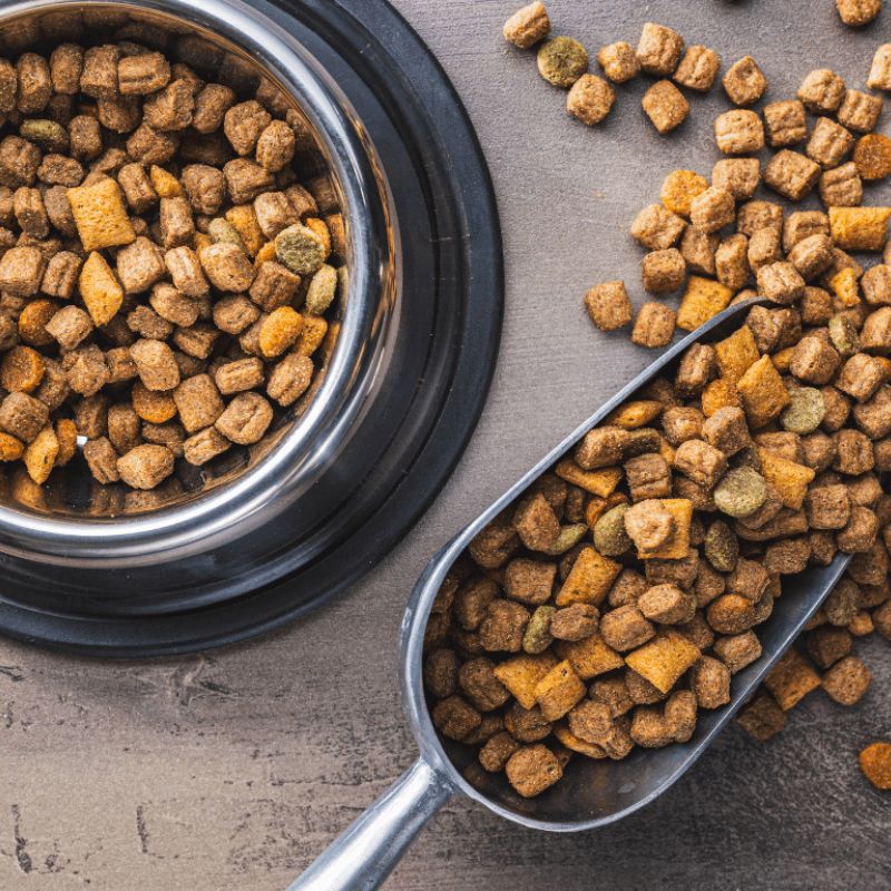 Pet food chất lượng cao.