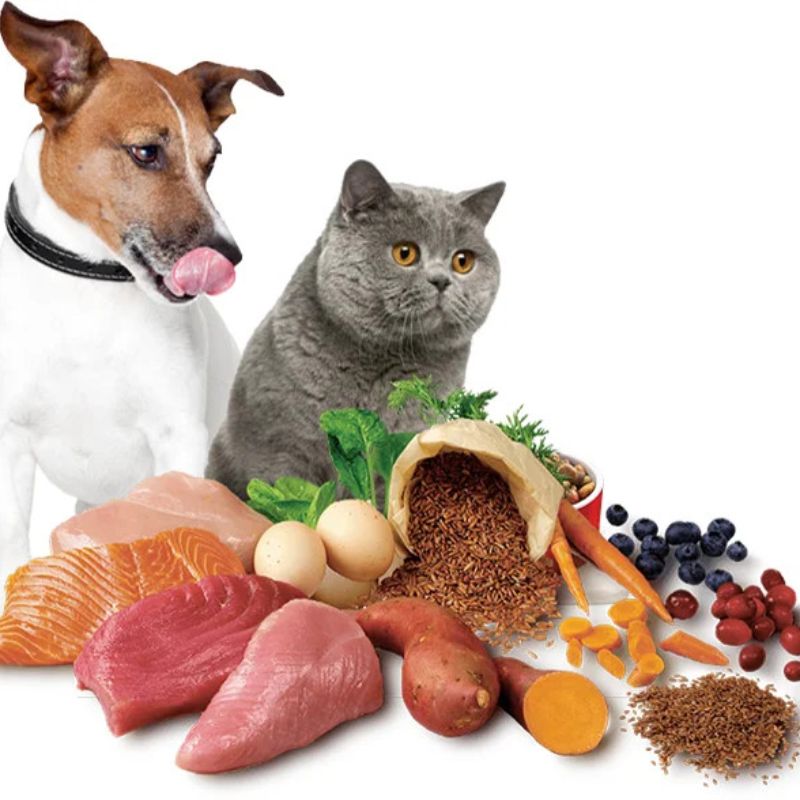 Nguồn hàng sỉ thức ăn chó mèo chất lượng.