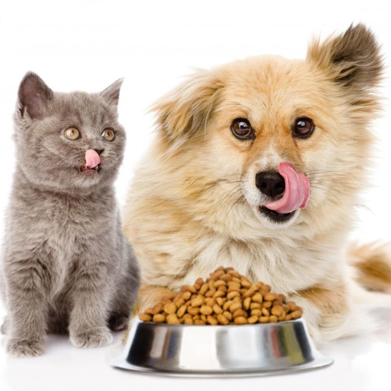 Yếu tố giúp duy trì mối quan hệ hợp tác lâu dài.