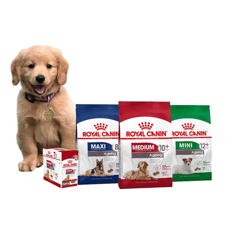 Nguồn hàng sỉ thức ăn chó mèo chất lượng cao.