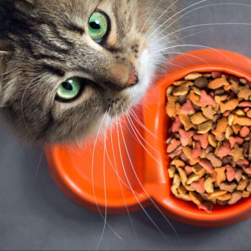 Một số thương hiệu thức ăn chó mèo nổi tiếng.