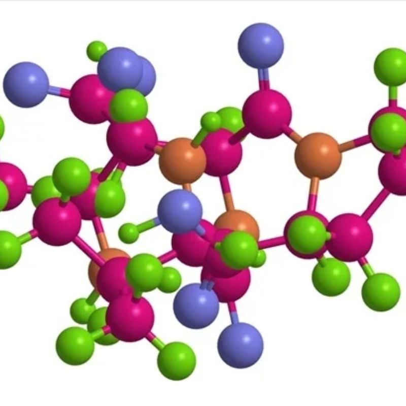 Protein Peptide Là Gì? Khám Phá Công Dụng Đặc Biệt Với Sức Khỏe Thú Cưng