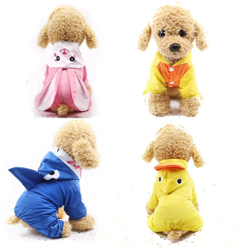 Thời trang chó mèo ấn tượng.