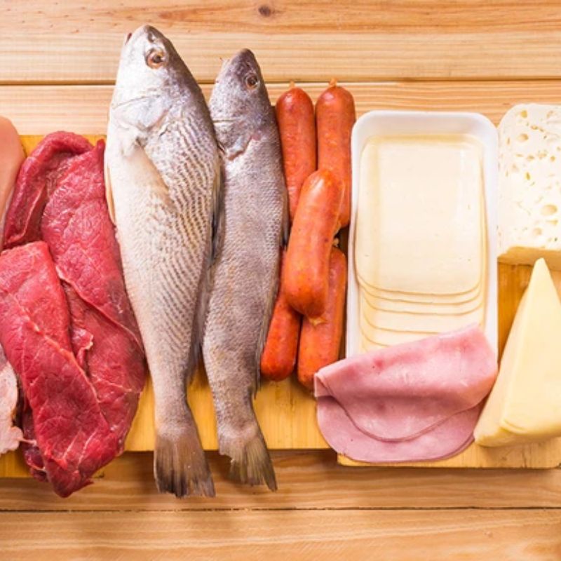 Vai trò của dinh dưỡng và thức ăn giúp lông chó mèo mượt.