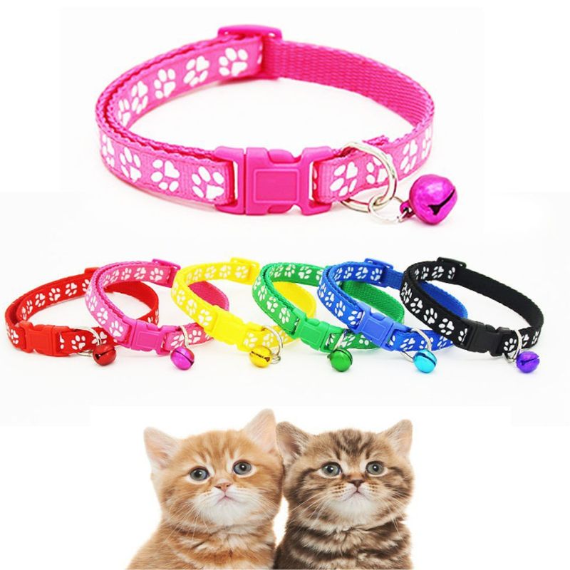 Vòng cổ bảo vệ an toàn cho mèo.