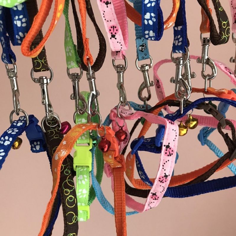 Cách chọn vòng cổ cho chó mèo.