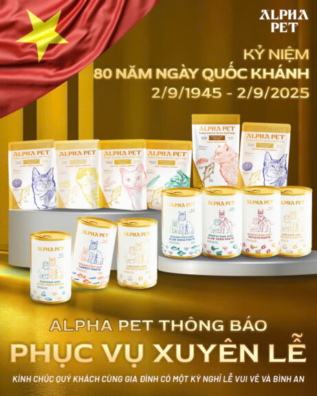 Quốc khánh 2/9