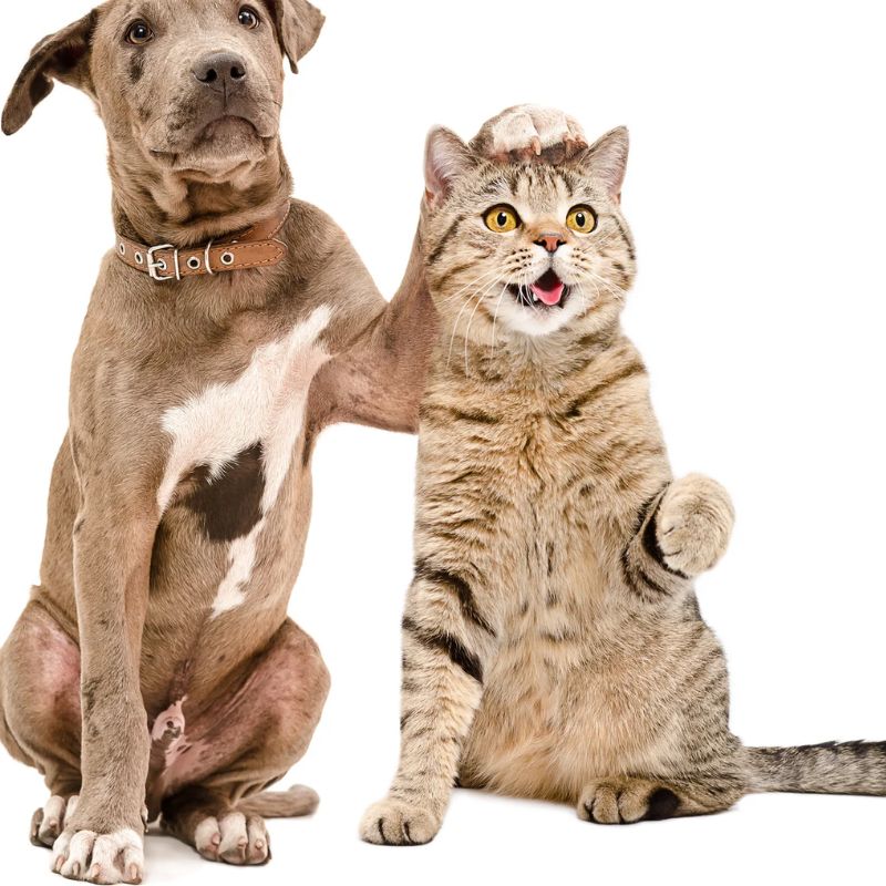 Brand chất lượng sẽ nhận được phản hồi tích cực từ khách hàng.