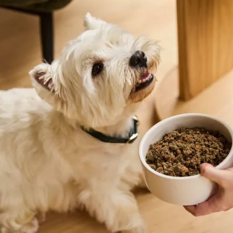 Thương hiệu pate cao cấp cho chó.