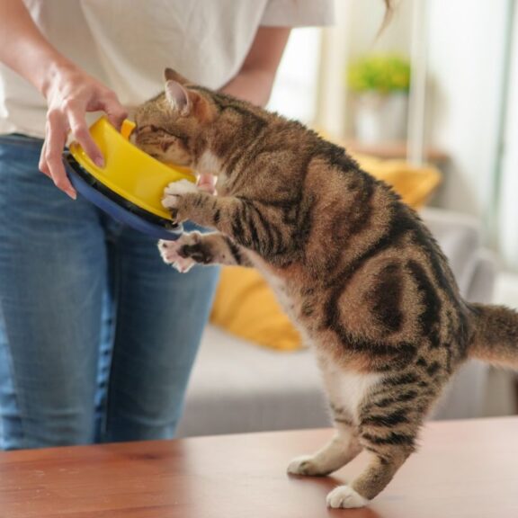 Các tiêu chí đánh giá thương hiệu.