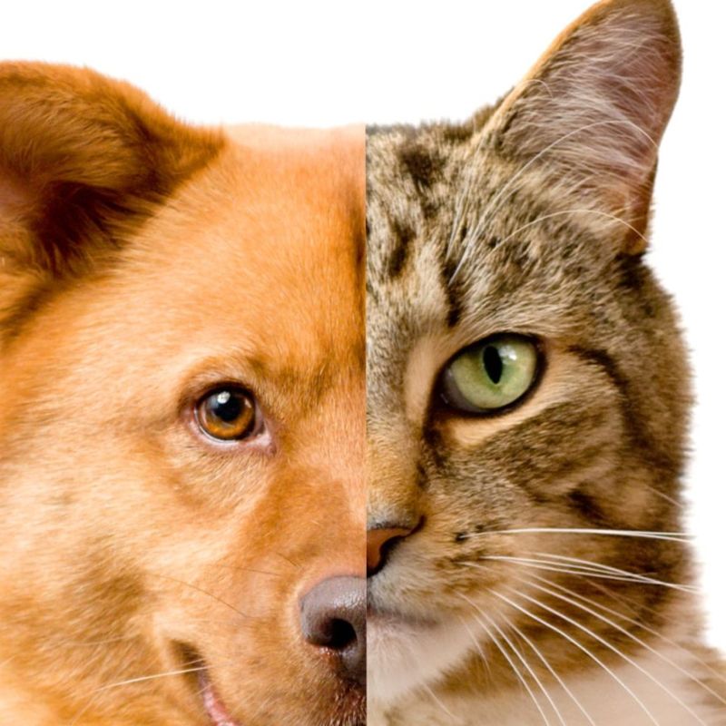 Một số thương hiệu nổi tiếng ở Việt Nam.