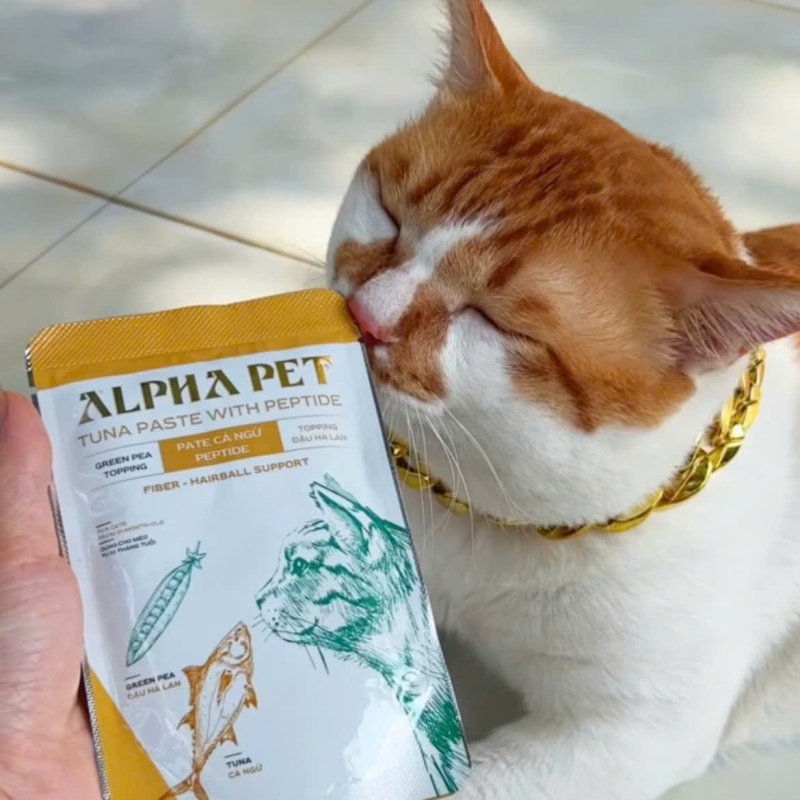 Thương hiệu pate gói cho chó mèo uy tín – Bữa ăn ngon miệng và giàu dưỡng chất