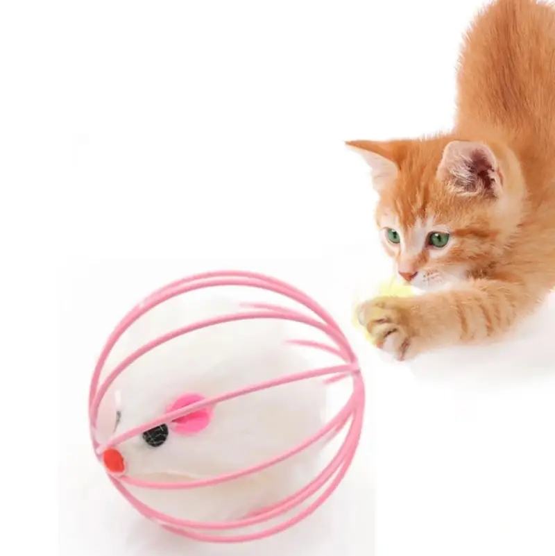 Đồ Chơi Cho Mèo Ít Vận Động: Cách Chơi Đùa Hiệu Quả