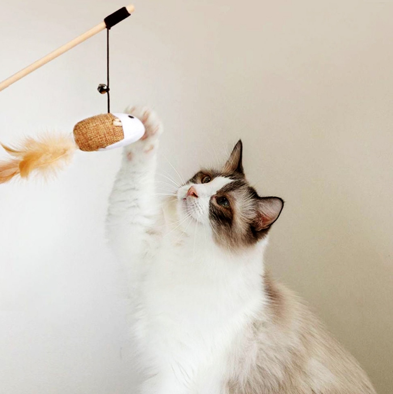 Đồ Chơi Cho Mèo Ít Vận Động: Cách Chơi Đùa Hiệu Quả