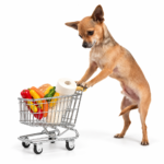 shop-thu-cung