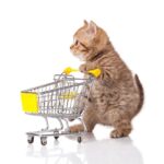 shop-thu-cung-uy-tin